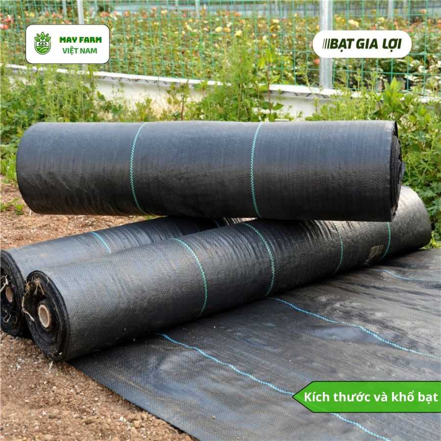 Cách chọn loại bạt che diệt cỏ phù hợp với nhu cầu sử dụng