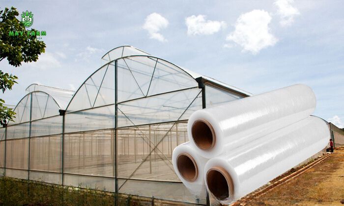 Màng nhà kính Việt Nam dễ dàng bảo trì thân thiện với môi trường