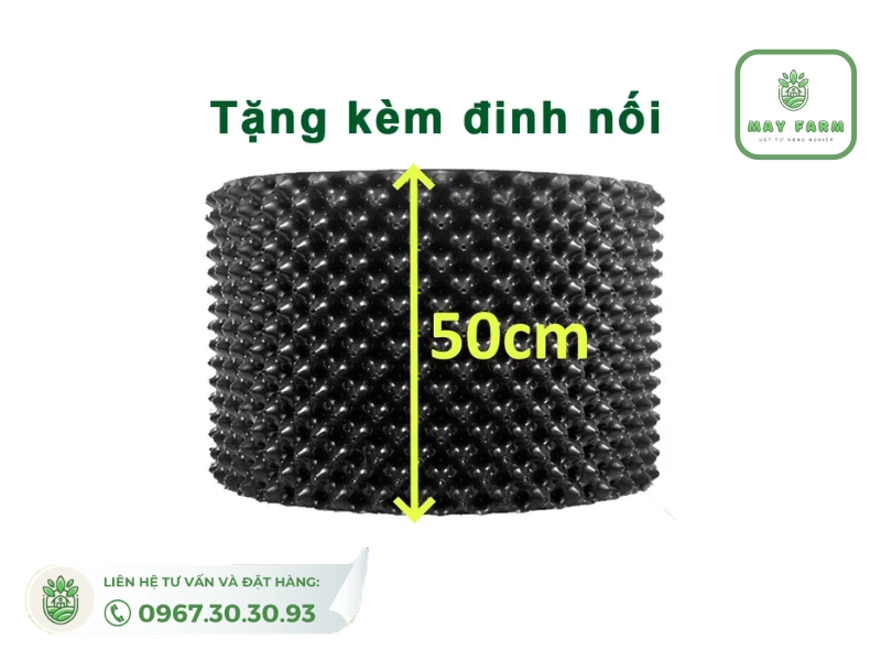 bầu ươm v6 50cm hiện đang được bán với giá 520.000đ 