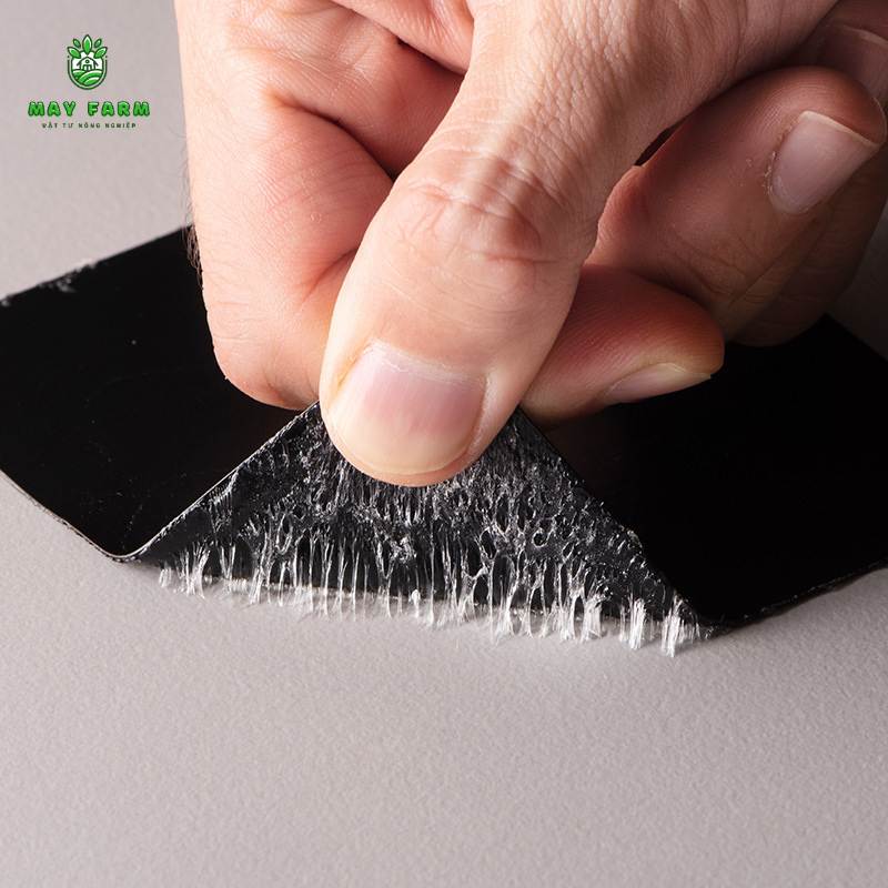 Keo dán bạt bể bơi HDPE loại nào bền, chống thấm tốt