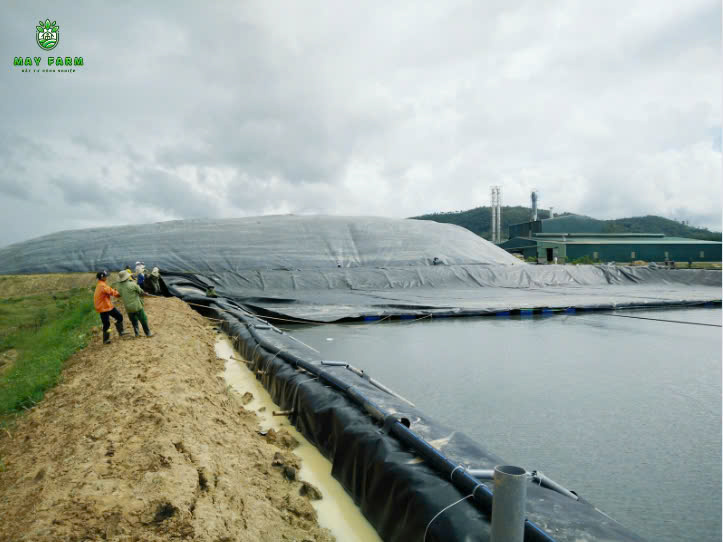 Thi công hầm biogas