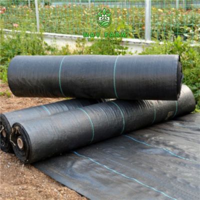  Bạt phủ chống cỏ 90g 