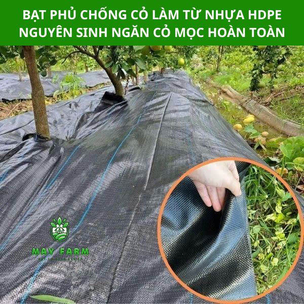 Bạt phủ chống cỏ dại