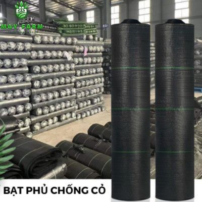 Bạt phủ chống cỏ
