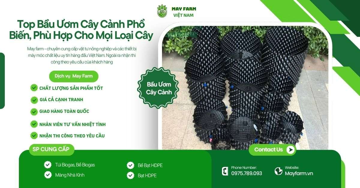 Top Bầu Ươm Cây Cảnh Phổ Biến, Phù Hợp Cho Mọi Loại Cây