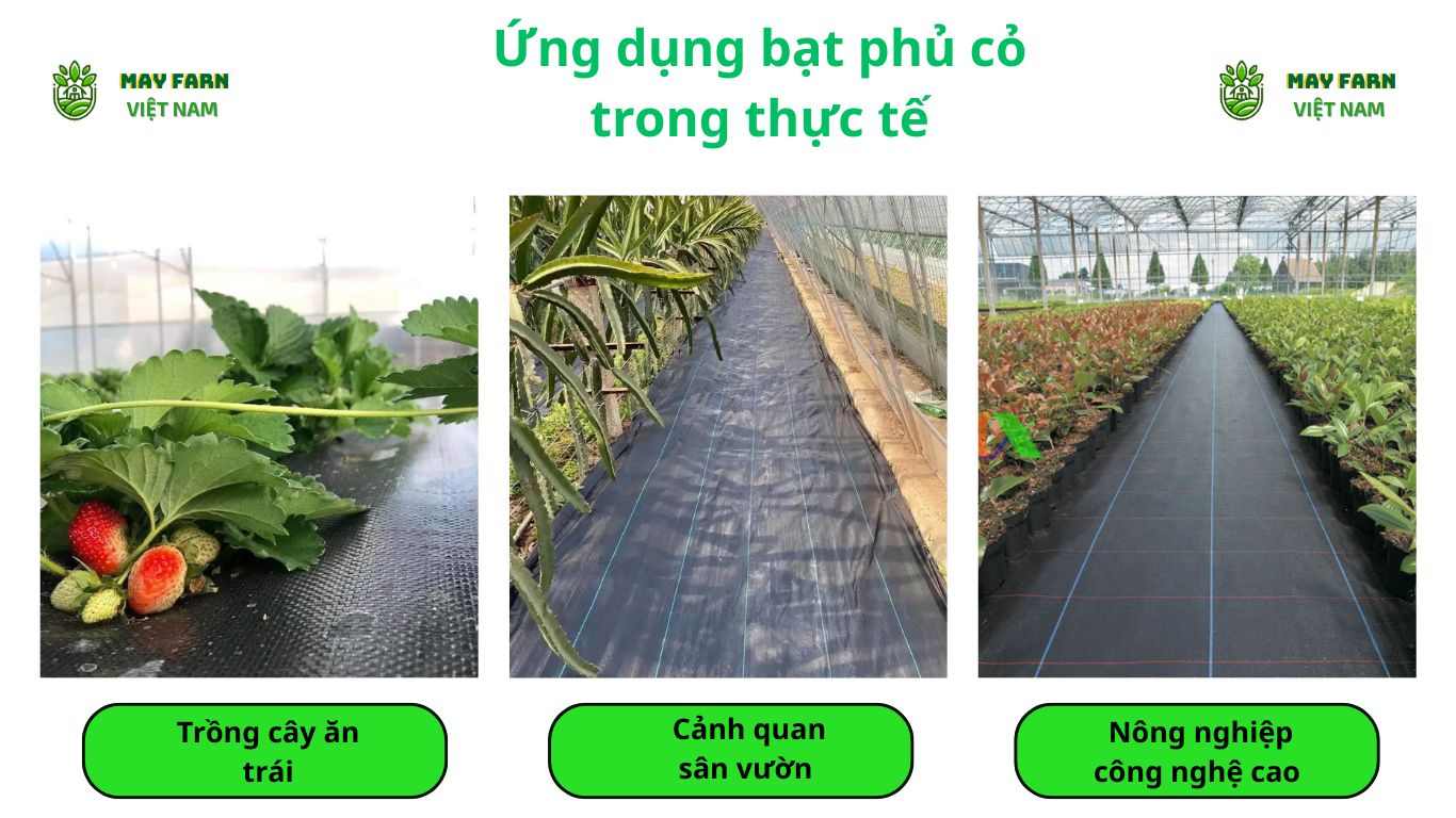 Ứng dụng bạt phủ cỏ trong thực tế