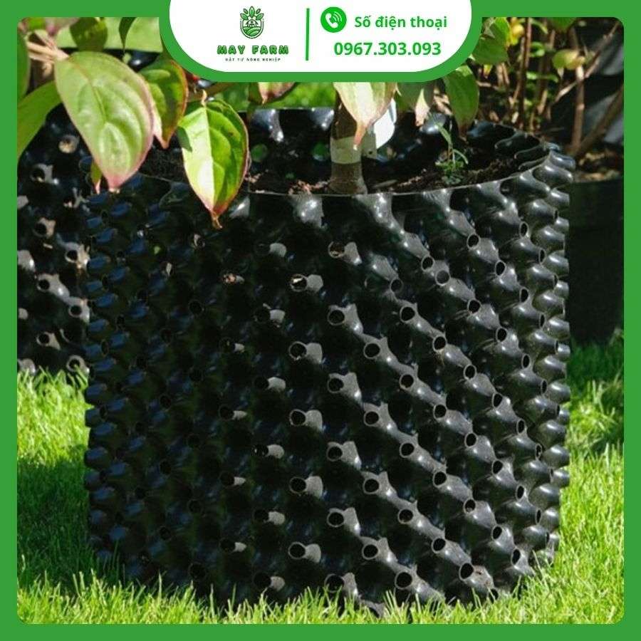 Bầu Ươm V7 Bán Lẻ Từ 1m Giá Tốt, Nhiều Kích Thước