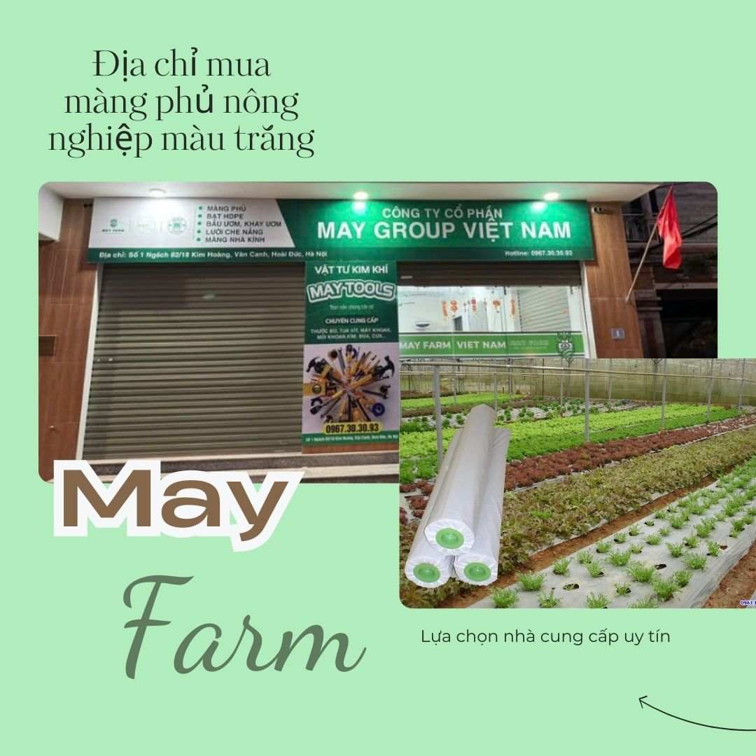 Địa chỉ mua màng phủ nông nghiệp màu trắng