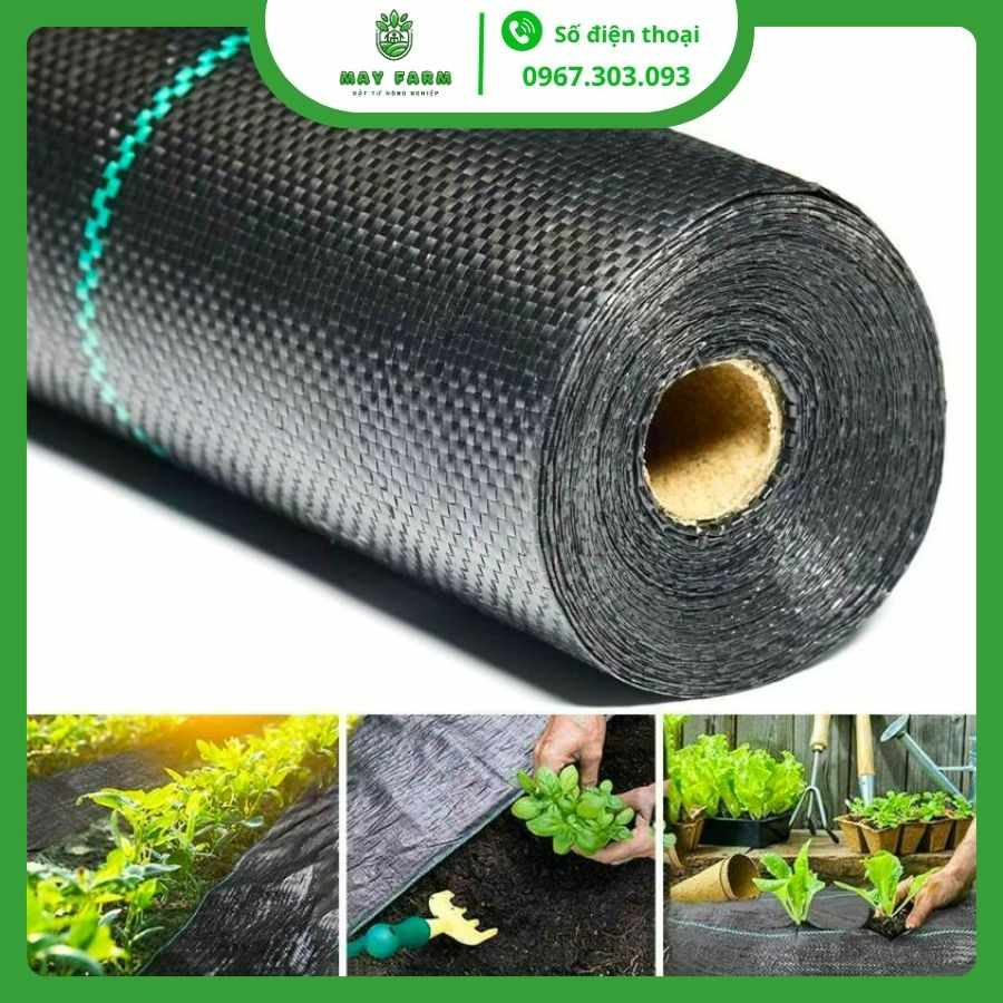 Bạt phủ chống cỏ 90g hàng nhập Đài Loan