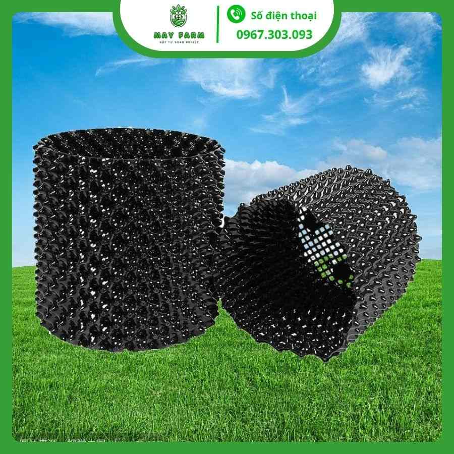 Bầu Ươm V7 20cm giá tốt, nhựa PET dẻo