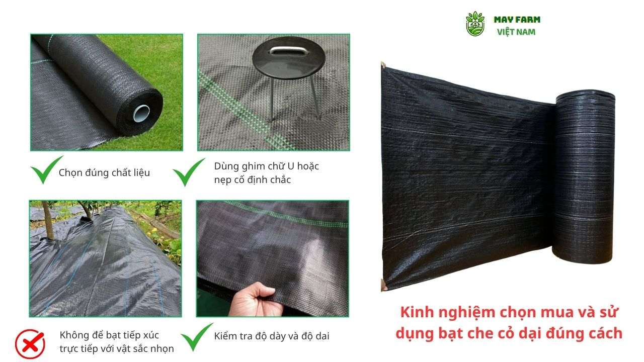 Kinh nghiệm chọn mua và sử dụng bạt che cỏ dại đúng cách