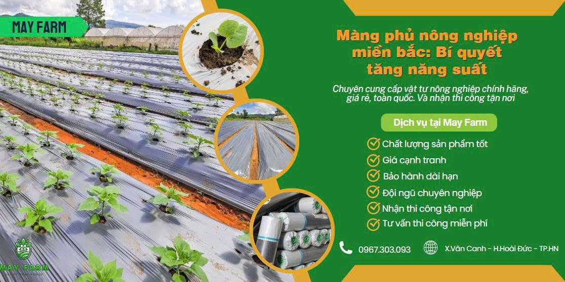 Màng phủ nhà kính miền bắc