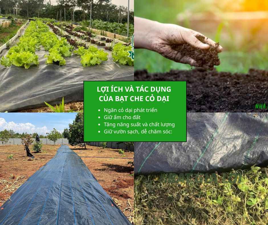 Lợi ích và tác dụng của bạt che cỏ dại, bạt phủ luống chuyên dụng