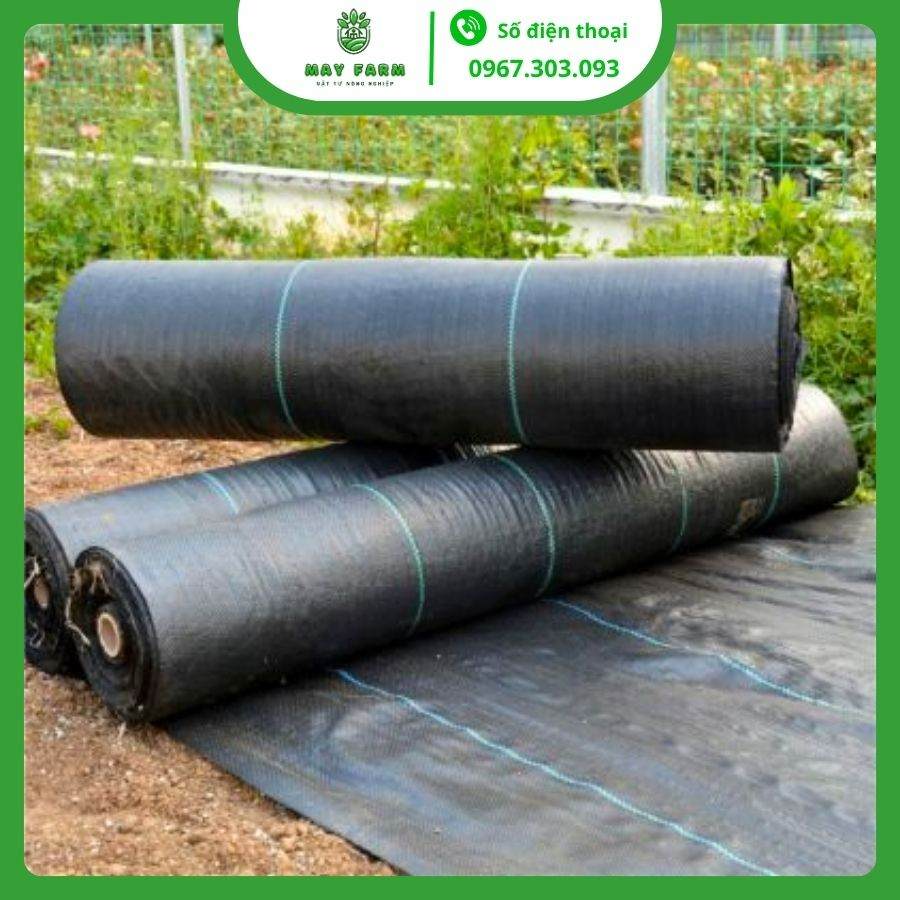 Bạt phủ chống cỏ 80g 90g hàng nhập Đài Loan (Đủ kích thước)