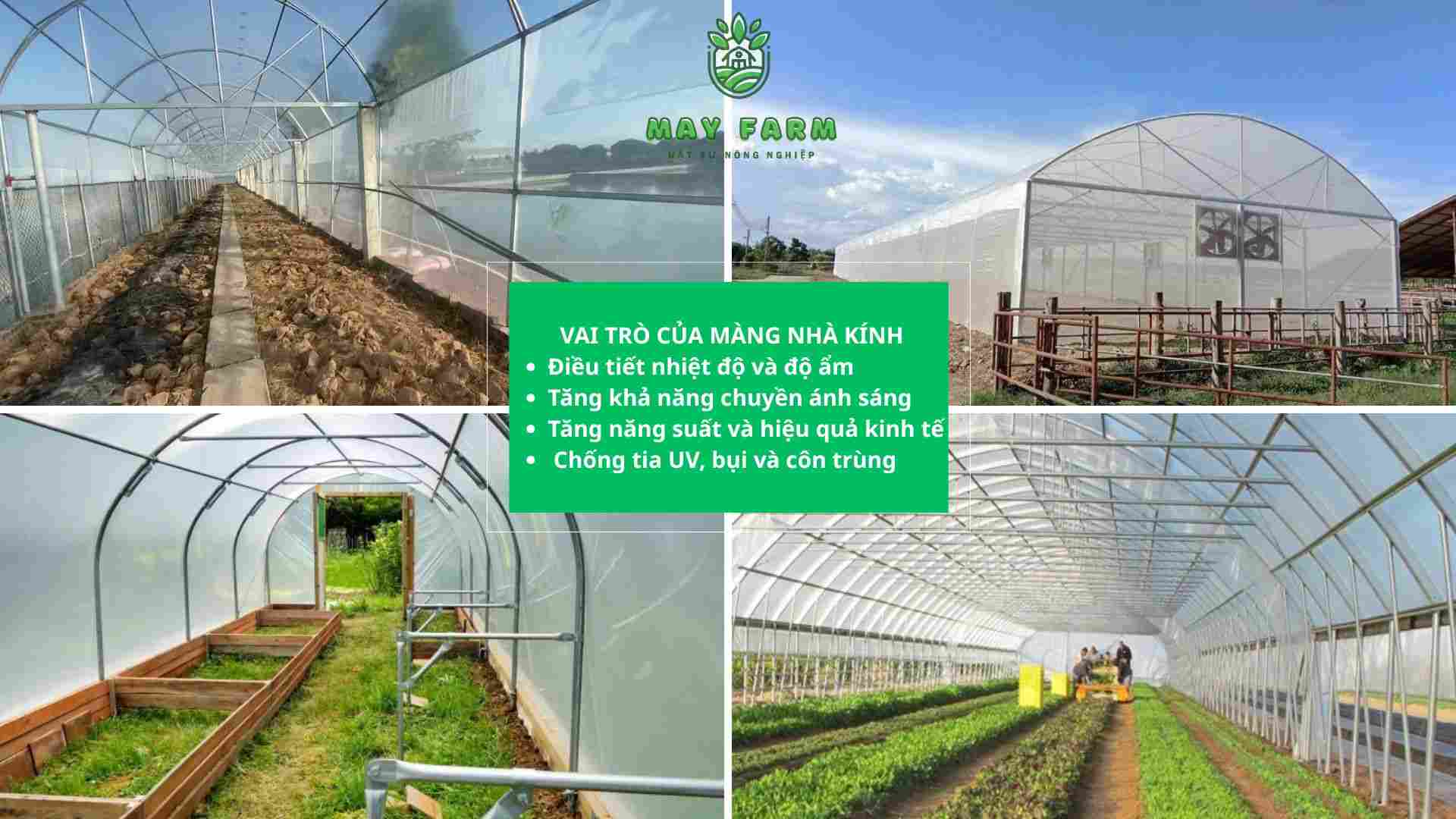 Vai trò của màng nhà kính trong nông nghiệp