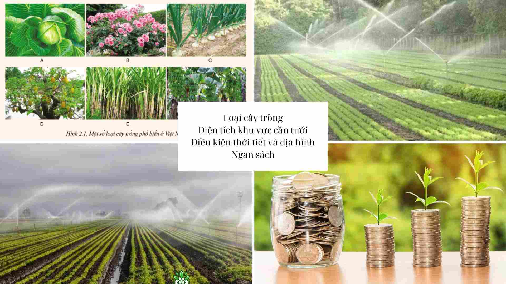 Bí quyết lựa chọn hệ thống tưới cây thông minh