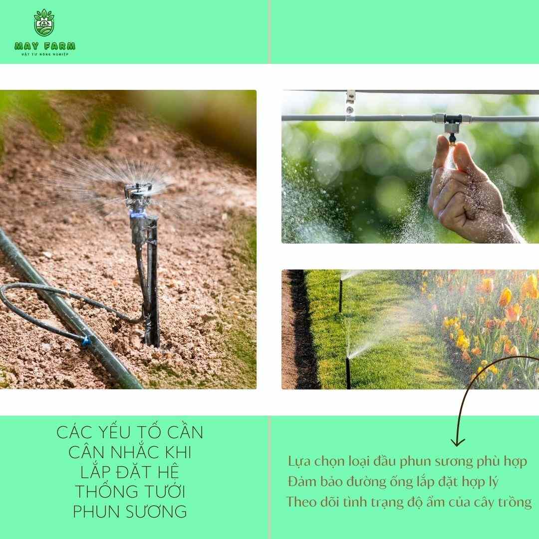 Các yếu tố cần cân nhắc khi lắp đặt hệ thống tưới phun sương