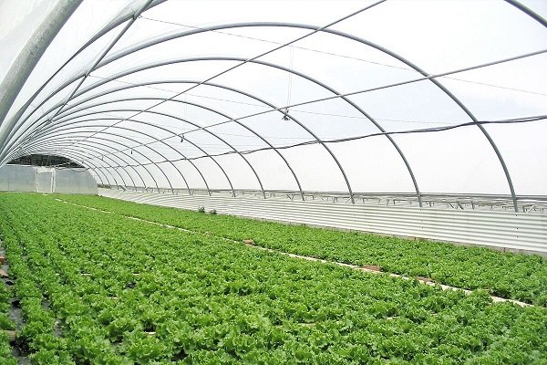 Bền bỉ và chịu lực,khả năng bảo vệ cây trồng tốt