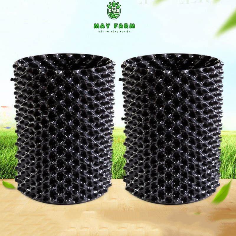 Bầu ươm cây loại to