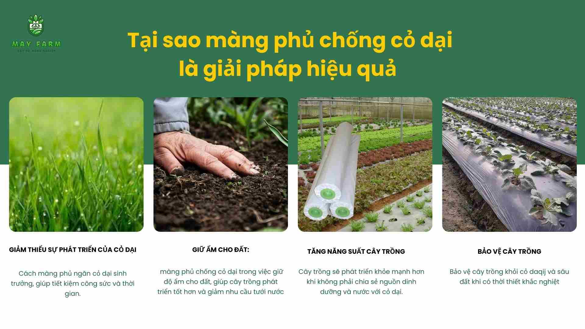  Tại sao màng phủ chống cỏ dại là giải pháp hiệu quả 