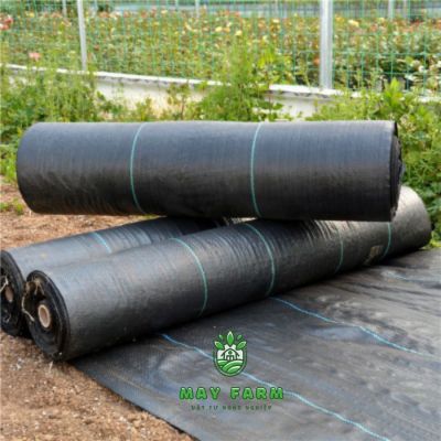 Các loại bạt phủ đất phổ biến hiện nay