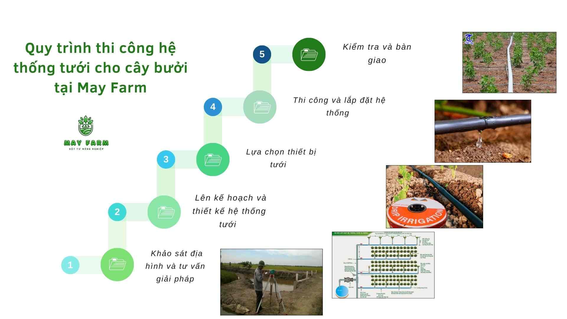 Quy trình thi công hệ thống tưới cho cây bưởi tại May Farm