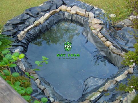 Bạt lót hồ HDPE - Ao hồ nuôi cá cảnh