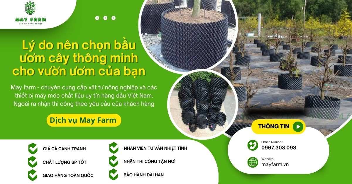 Lý do nên chọn bầu ươm cây thông minh cho vườn ươm của bạn