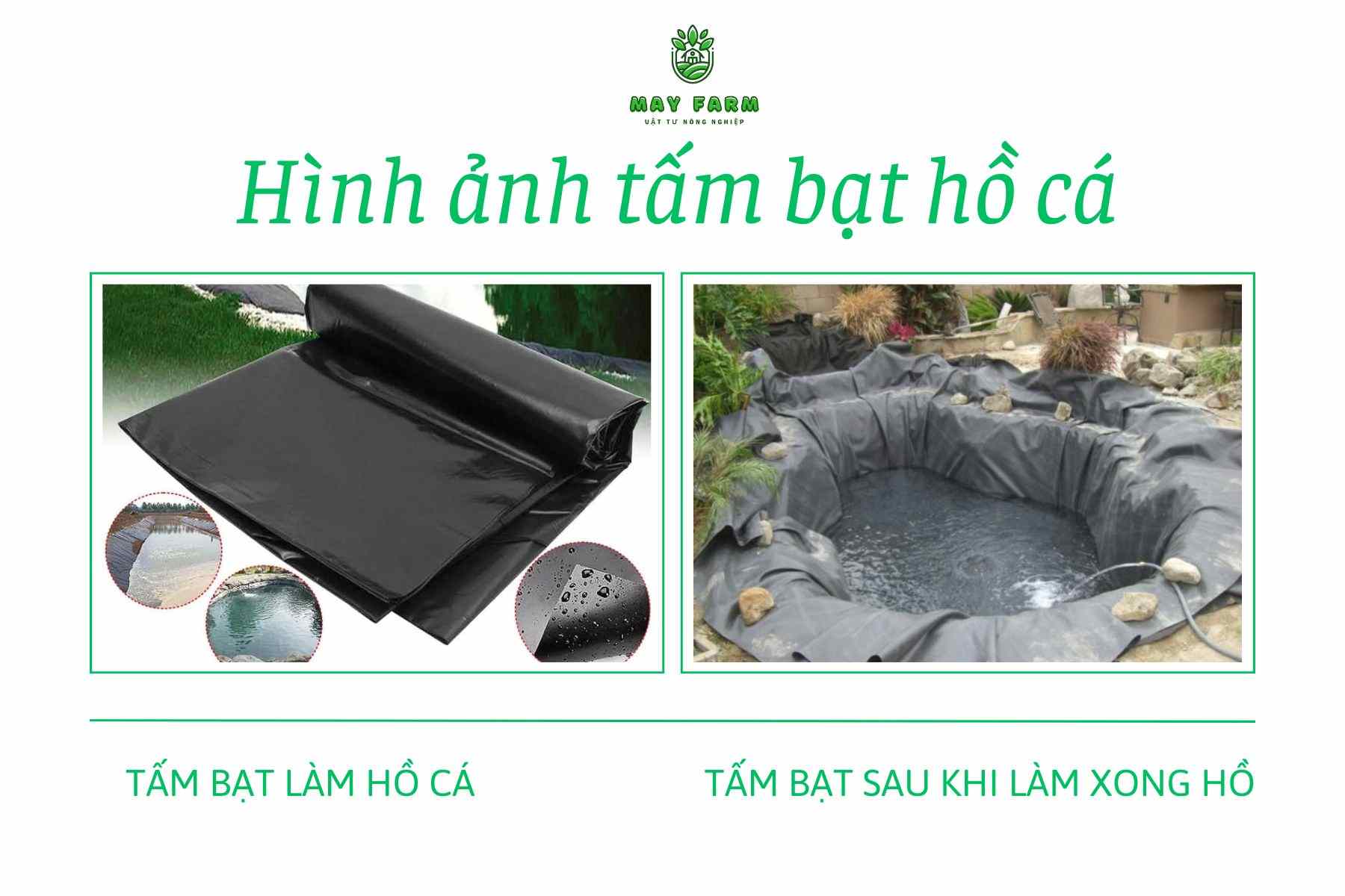  Tấm bạt hồ cá là gì?