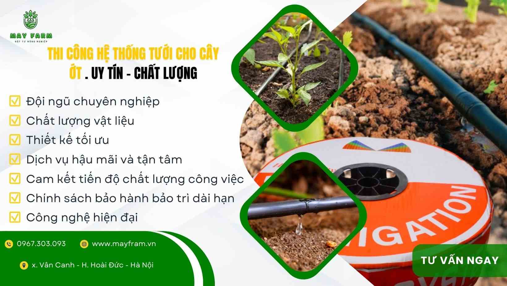 Thi công hệ thống tưới cho cây ớt | Uy tín - chất lượng