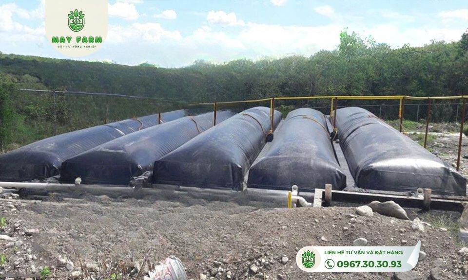 Ưu điểm của hầm biogas trong chăn nuôi HDPE