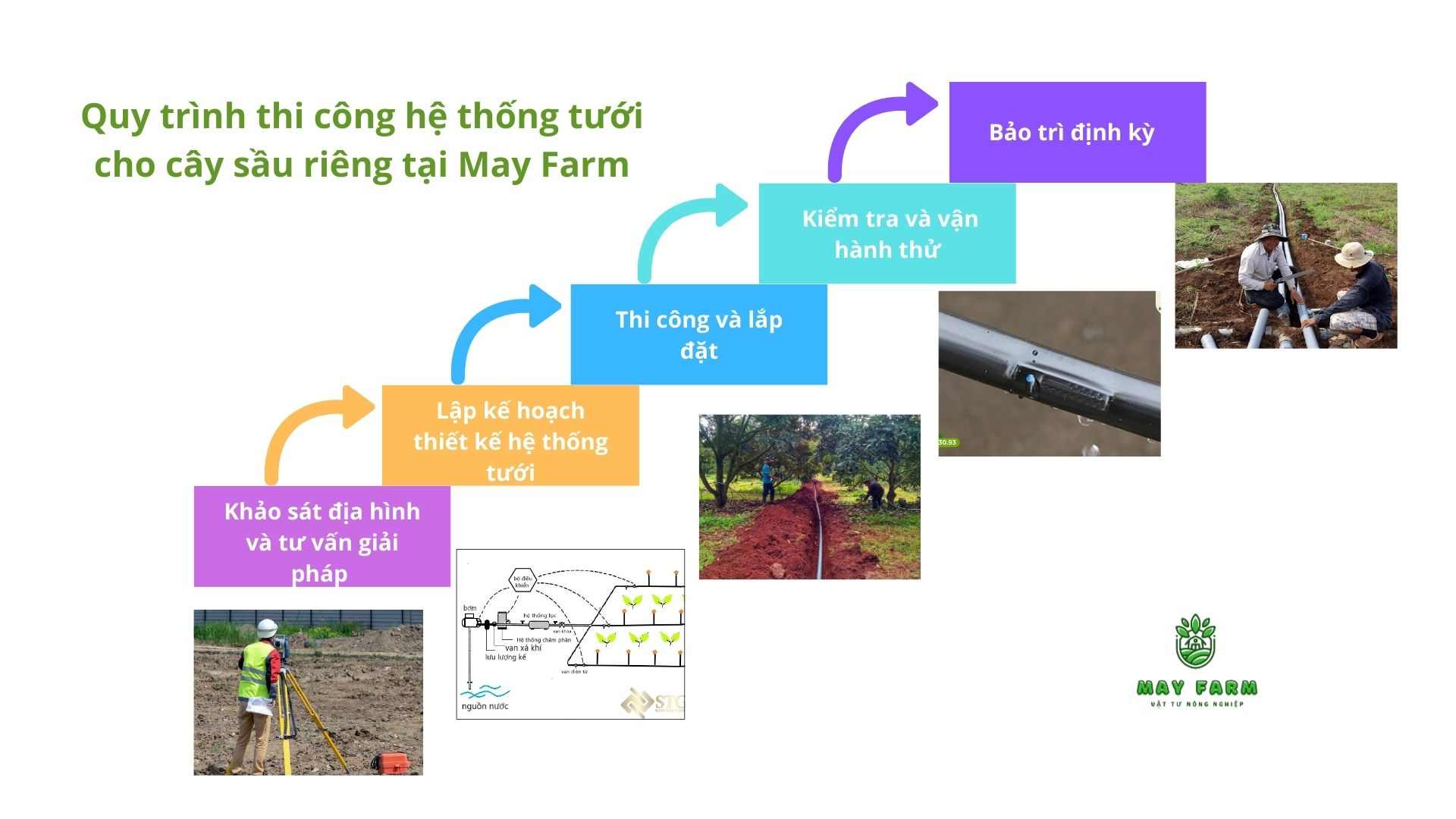 Quy trình thi công hệ thống tưới cho cây sầu riêng tại May Farm