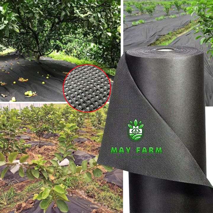  Lưu ý khi chọn mua bạt phủ đất trồng