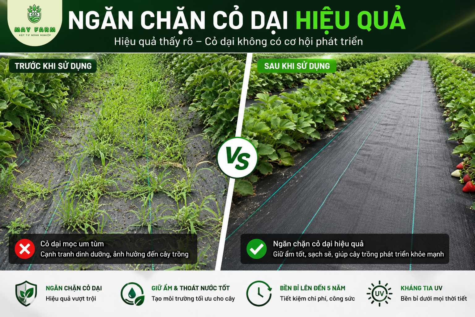 Ưu điểm của bạt chống cỏ. Ngăn chặn cỏ dại mọc 