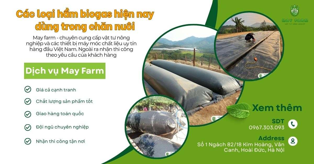 Các loại hầm biogas hiện nay dùng trong chăn nuôi