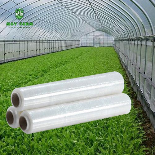 Đáp ứng nhu cầu sản xuất nông nghiệp, phù hợp với nhiều loại cây trồng