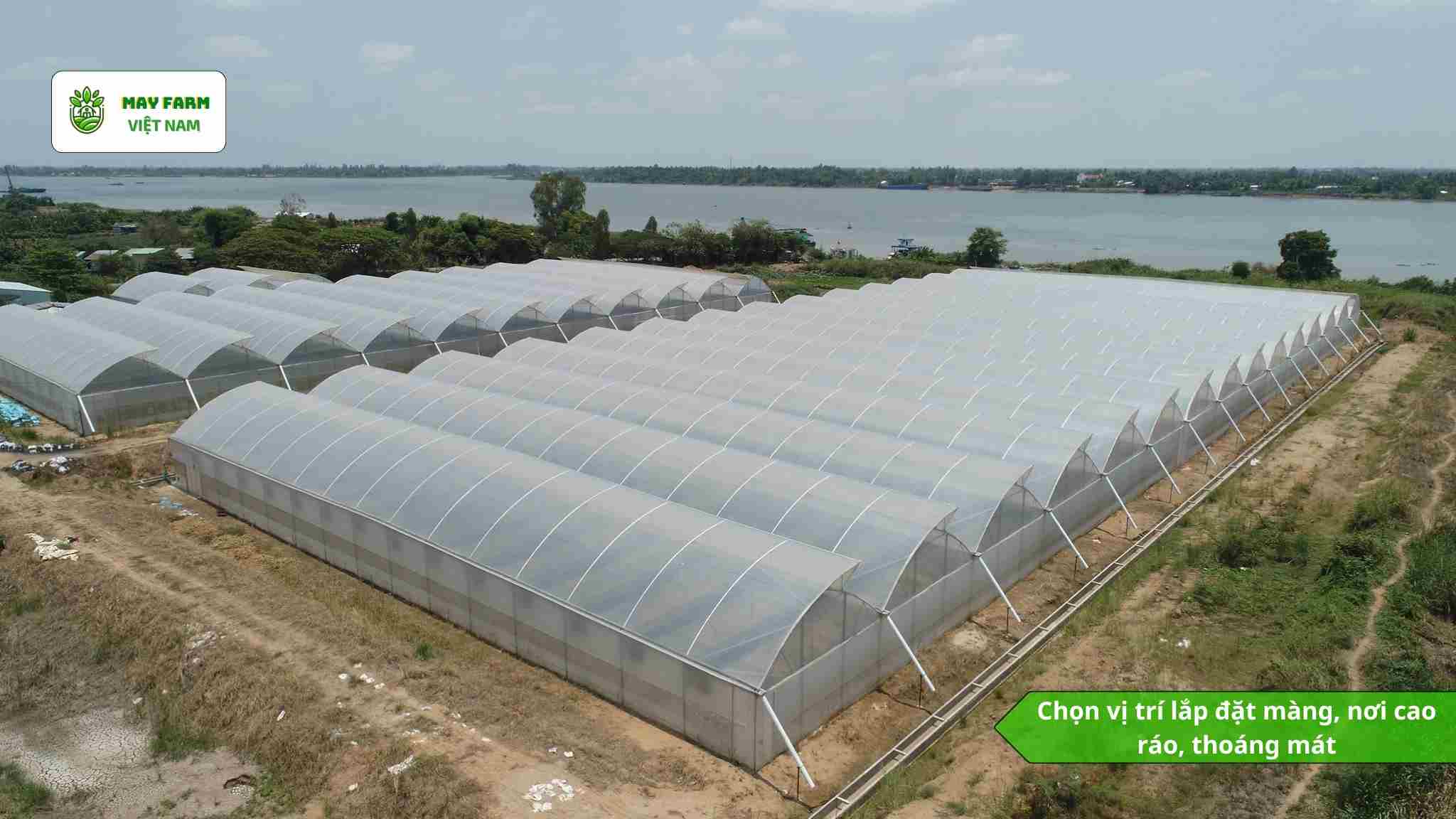 Các yếu tố quan trọng khi xây dựng nhà kính trồng rau