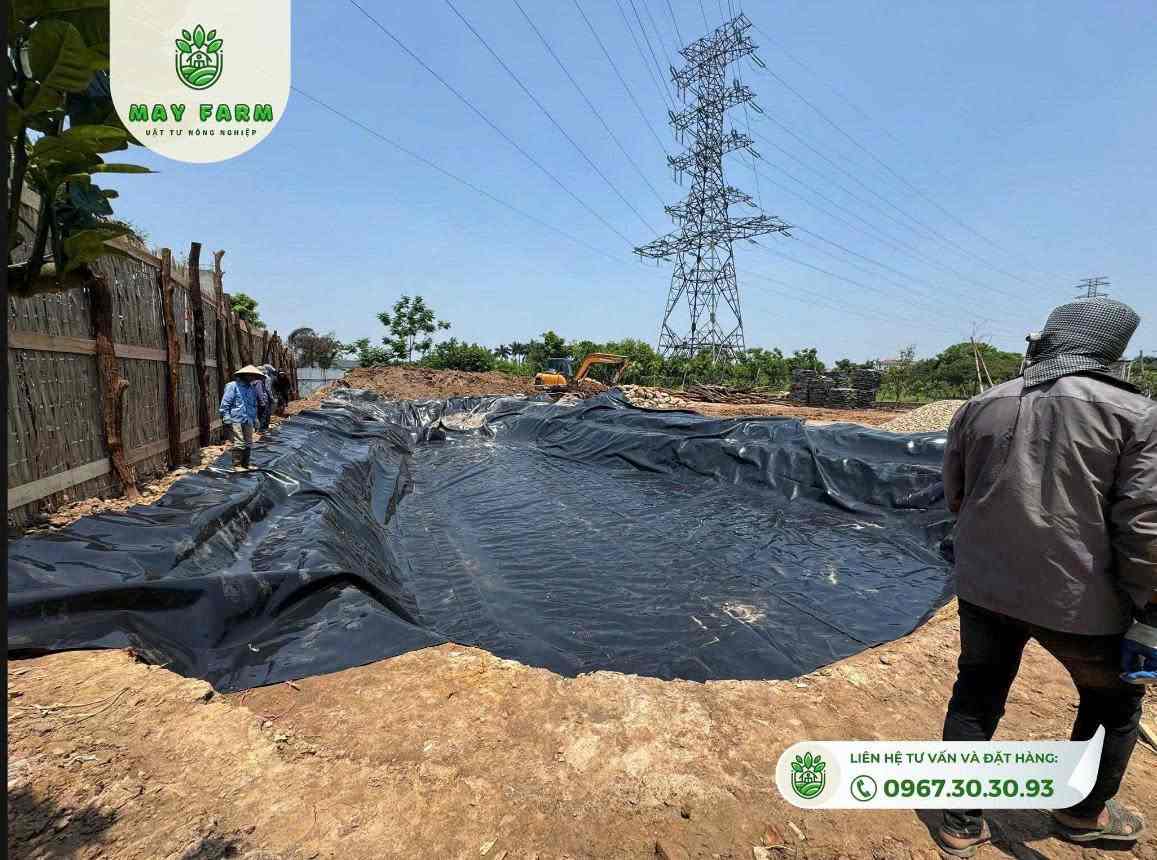 Tại sao cần thi công hồ cảnh quan sân vườn chuyên nghiệp