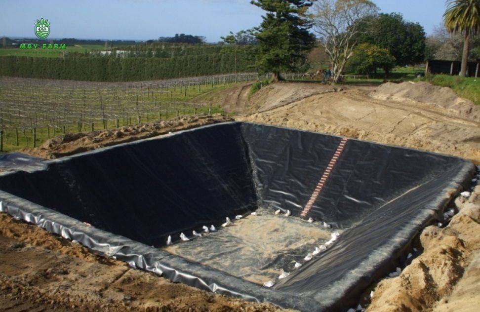 Chọn loại tấm bạt HDPE phù hợp với nhu cầu -  Hồ nuôi thủy sản