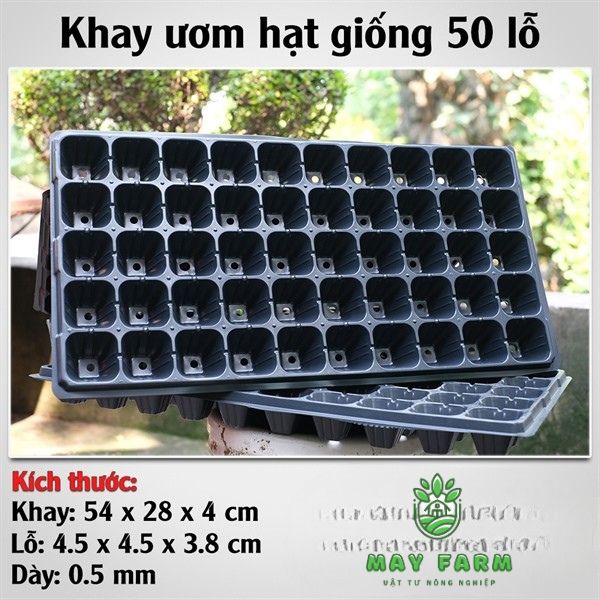 Khay nhựa ươm hạt giống 50 lỗ