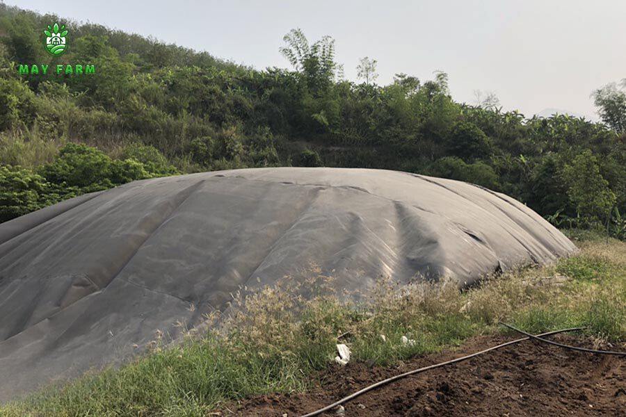 Thi công hầm biogas