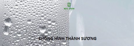 Đặc điểm nổi bật màng nhà kính ginegar israel