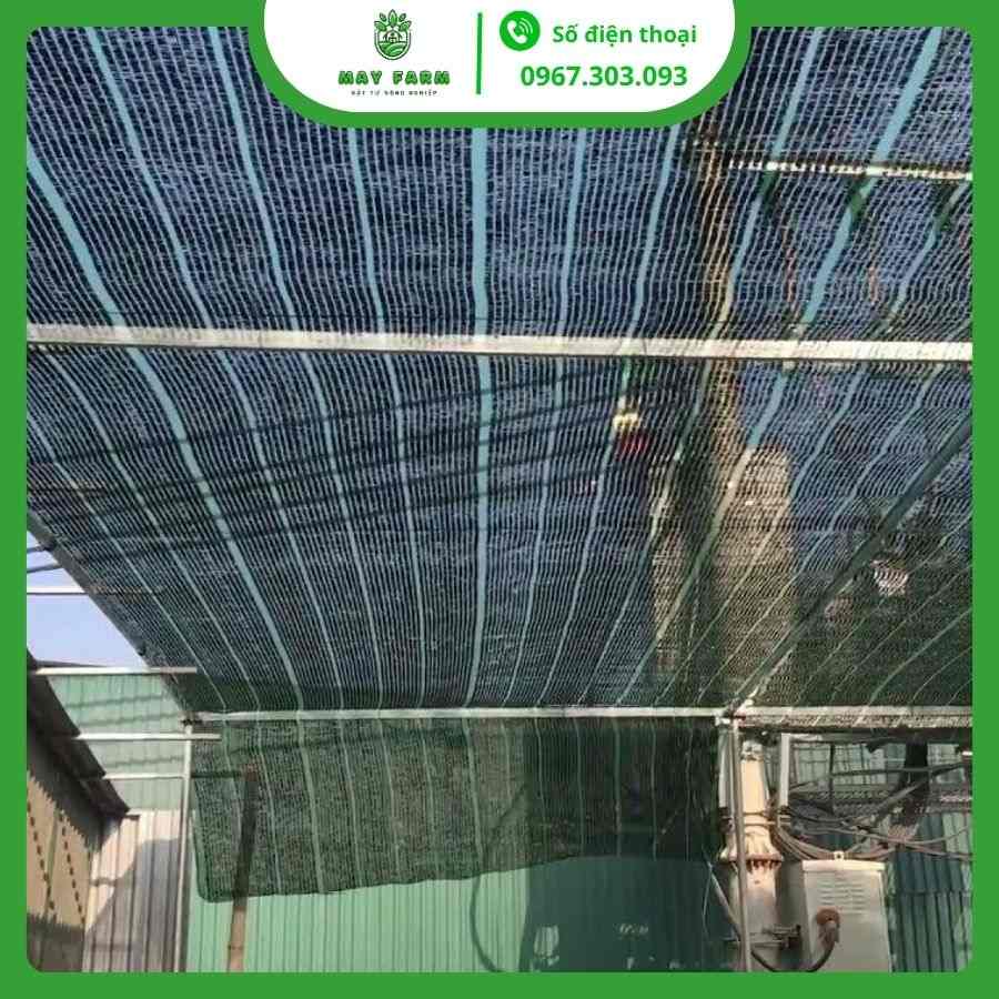 Lưới che nắng dệt phẳng Thái Lan 50% giá tốt May Farm