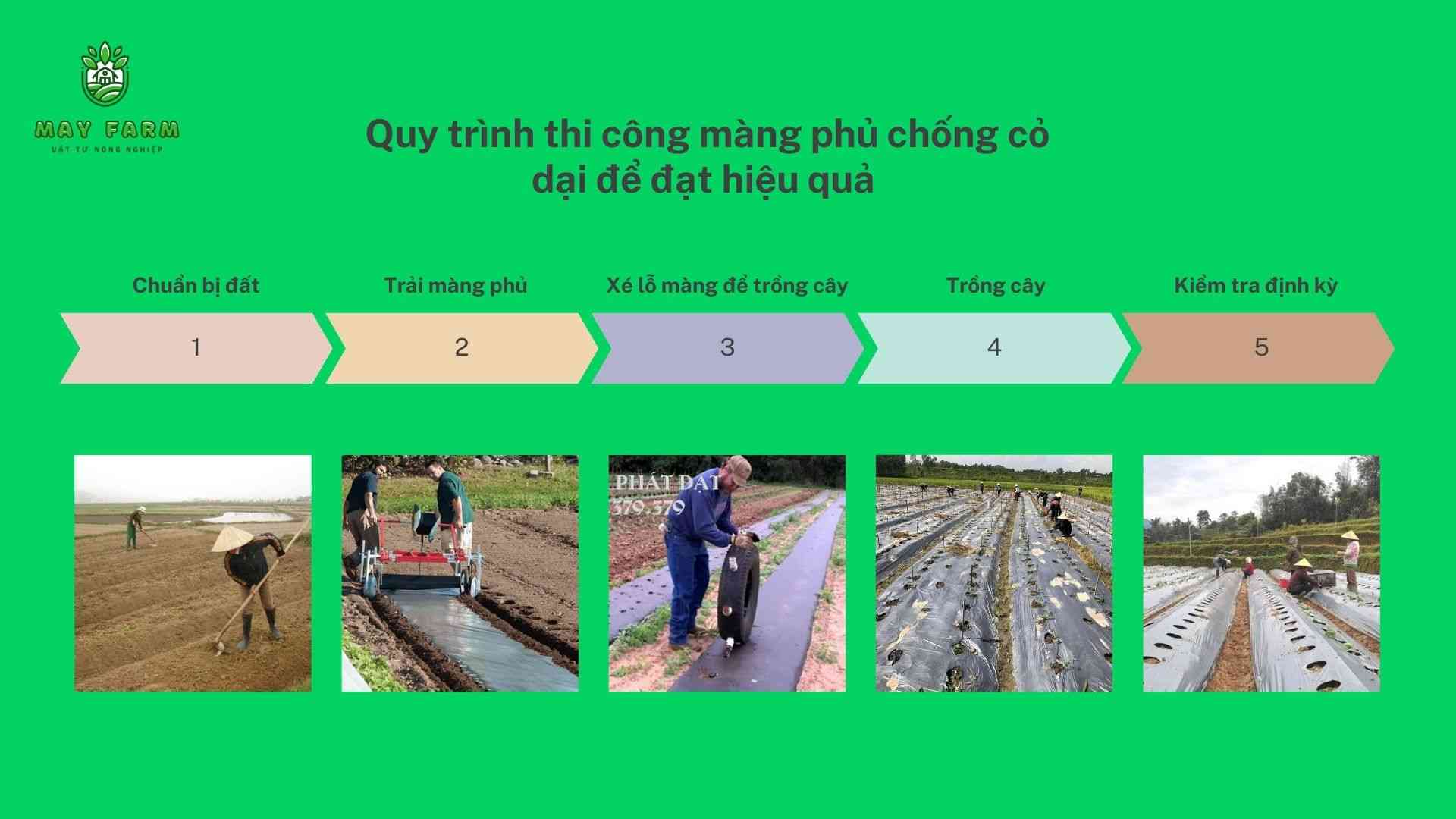 Quy trình thi công màng phủ chống cỏ dại để đạt hiệu quả 