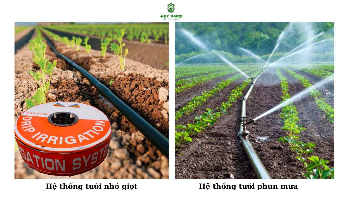 Công nghệ tiên tiến mà May Farm áp dụng trong thi công