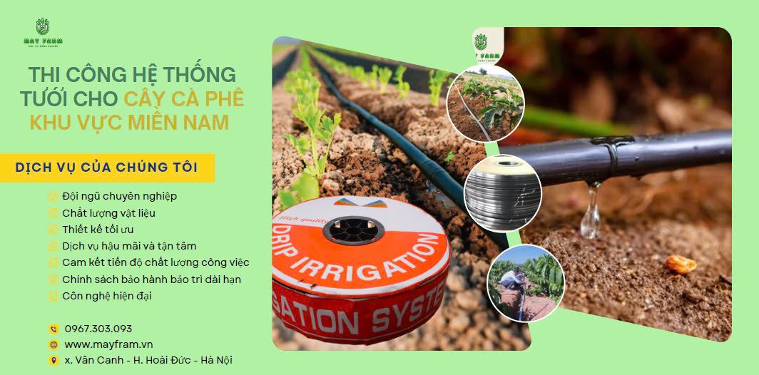 Thi công hệ thống tưới cho cây Cà Phê khu vực miền Nam 