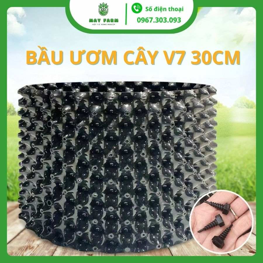 Bầu ươm cây V7 30cm giá tốt nhất trên thị trường