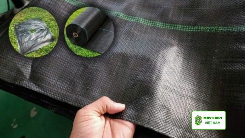 Bạt Trải diệt cỏ nông nghiệp là g