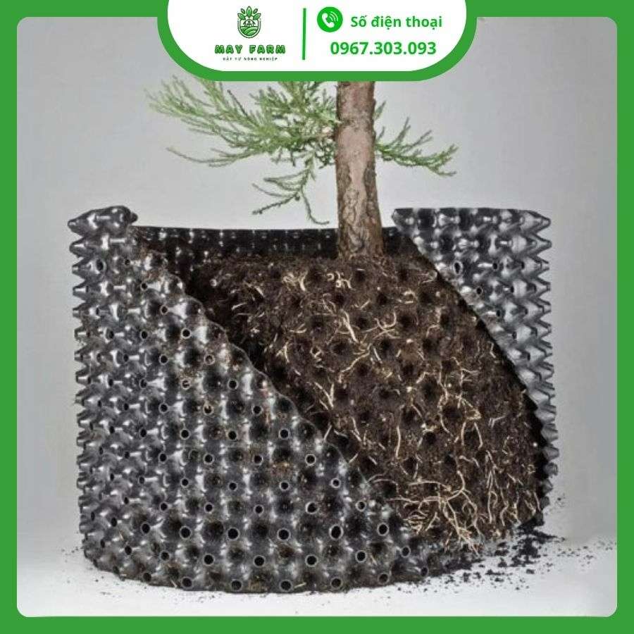 Bầu ươm cây cảnh chất lượng, đủ loại May Farm