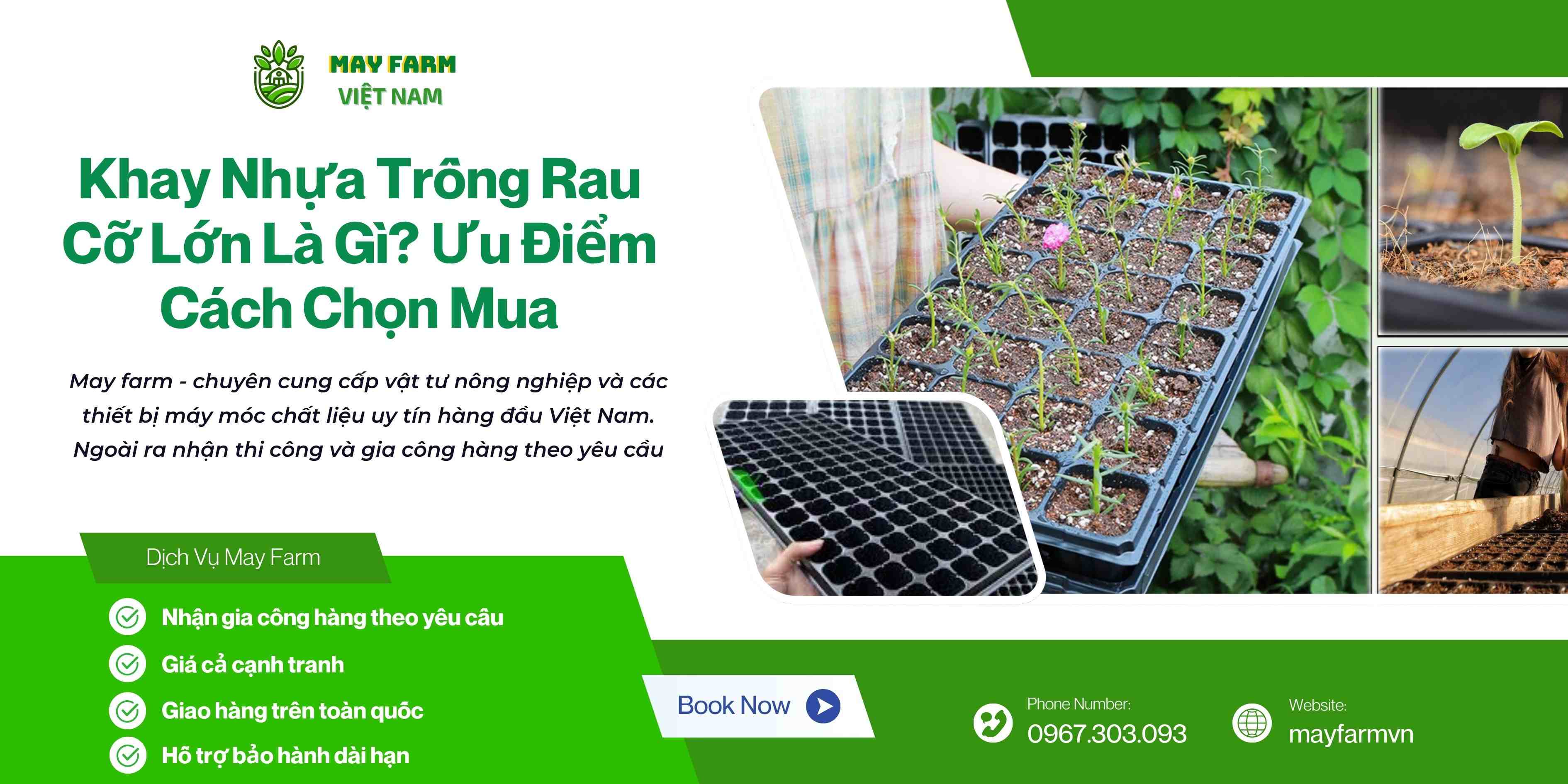Khay Nhựa Trồng Rau Cỡ Lớn Là Gì? Ưu Điểm Cách Chọn Mua